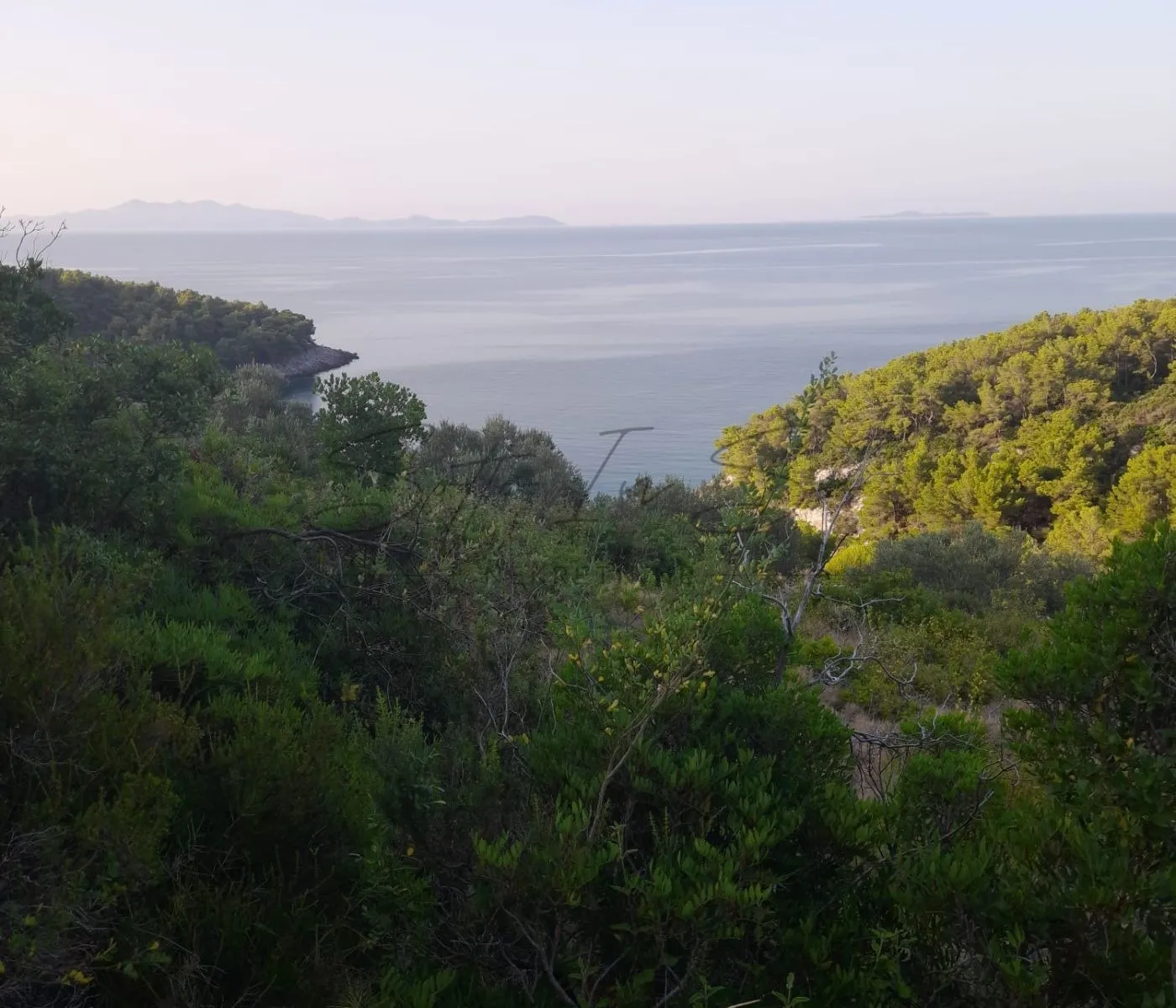 Prekrasno zemljište na Korčuli pogodno za izletište i agroturizam - Blato, Blato