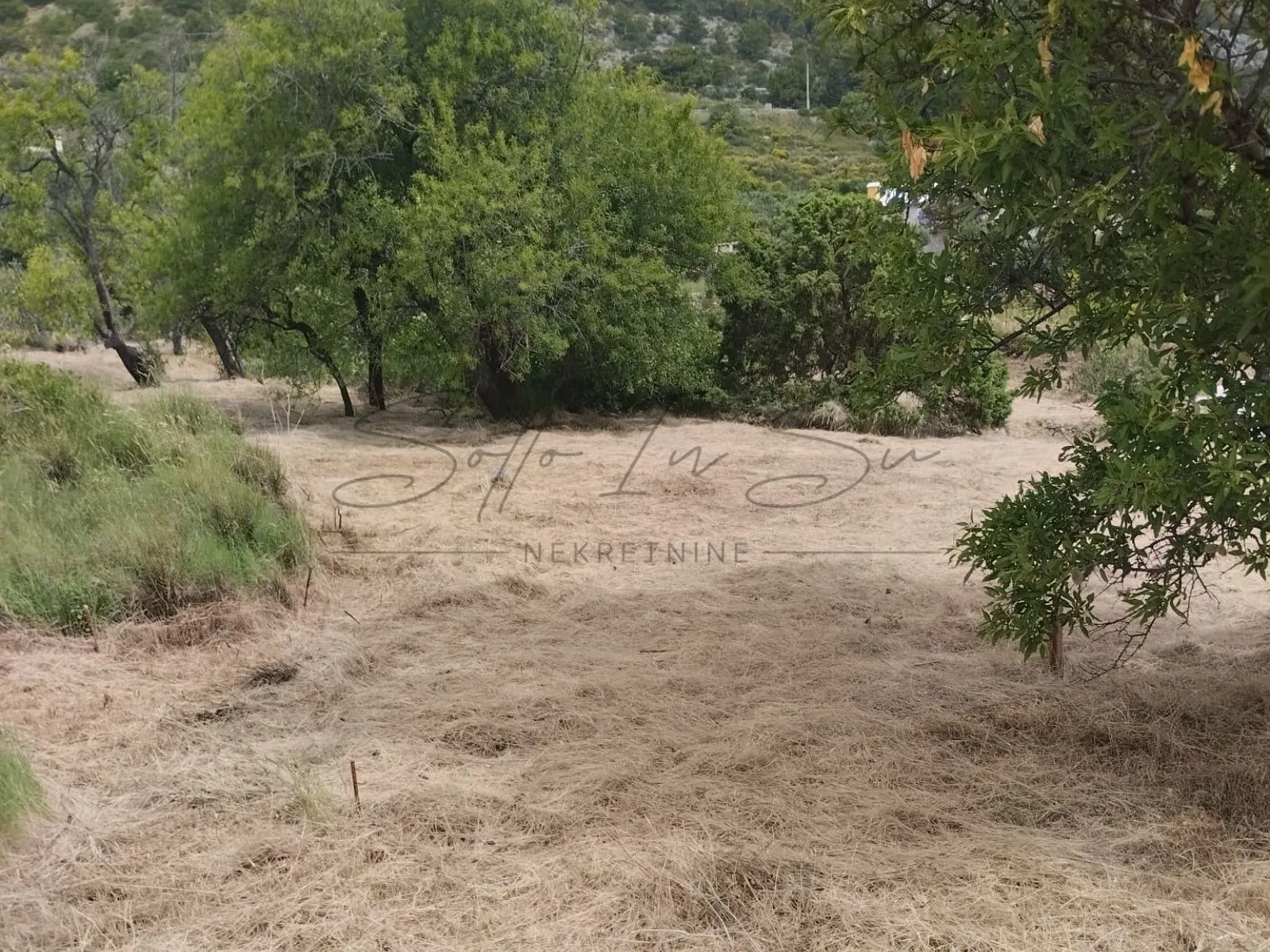 obradivo zemljište-otok brač-bol - slika 5