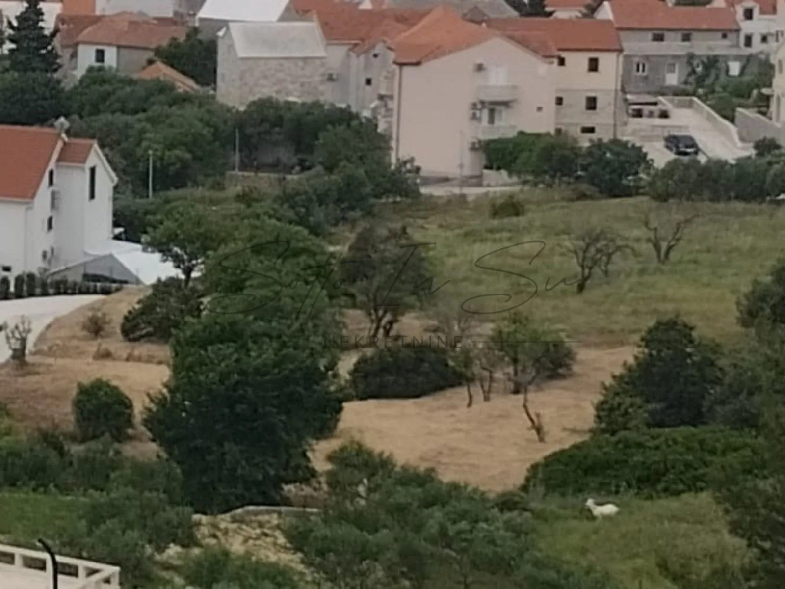 obradivo zemljište-otok brač-bol - slika 8