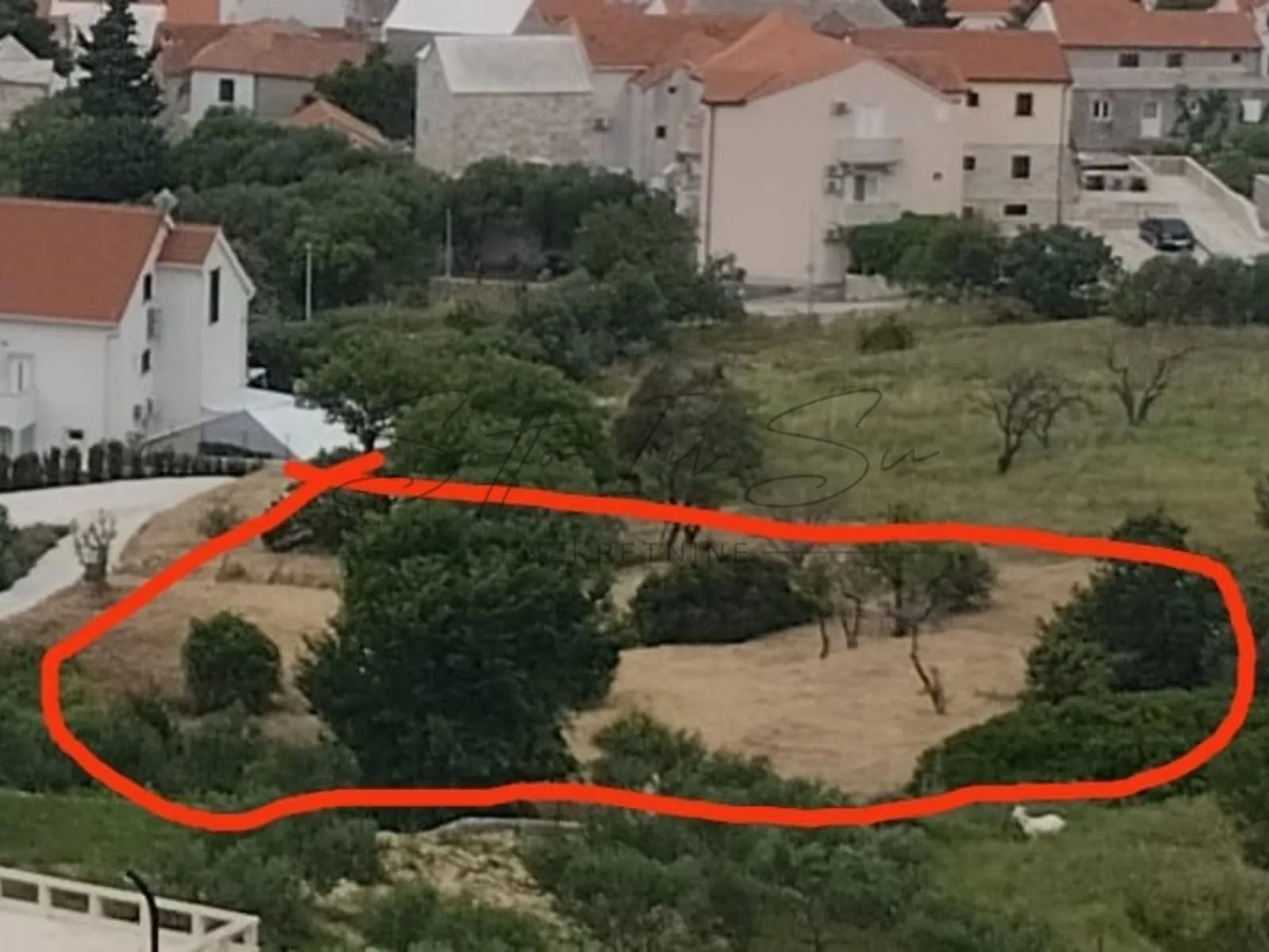 obradivo zemljište-otok brač-bol - slika 7