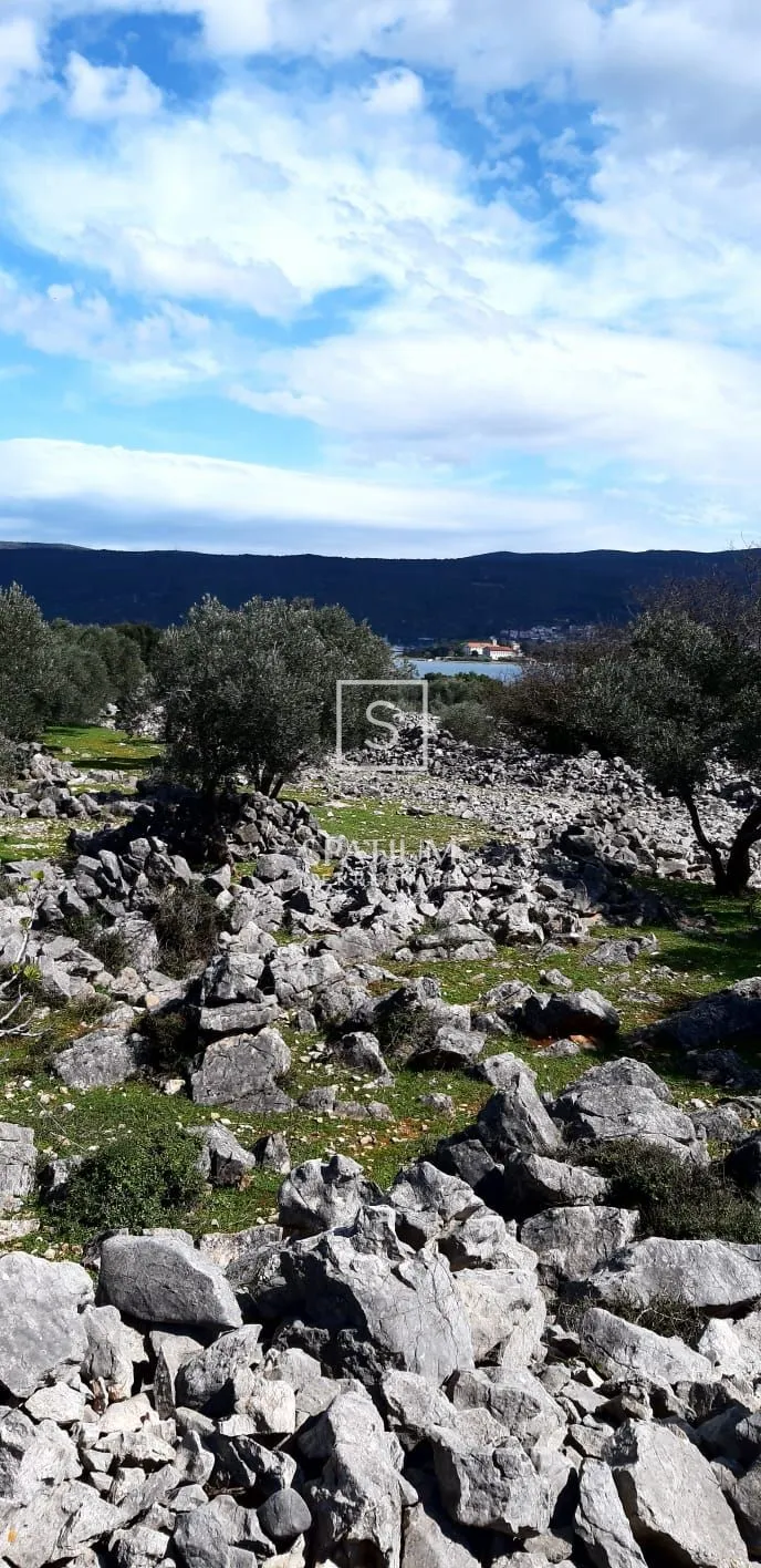 krk, maslinik na lijepoj lokaciji - slika 3