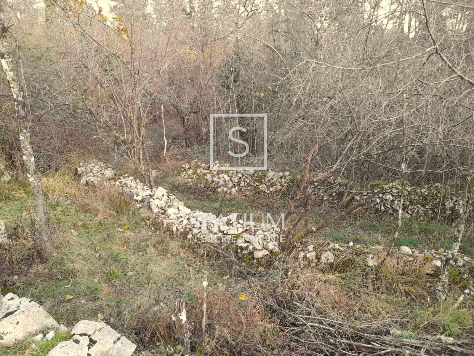 šapjane, poljoprivredno zemljište ograđeno suhozidom - slika 2