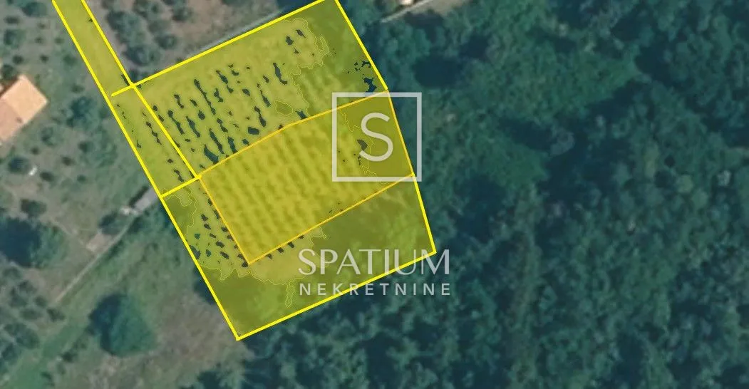 vižinada, atraktivno građevinsko zemljište s investicijskim potencijalom - slika 2
