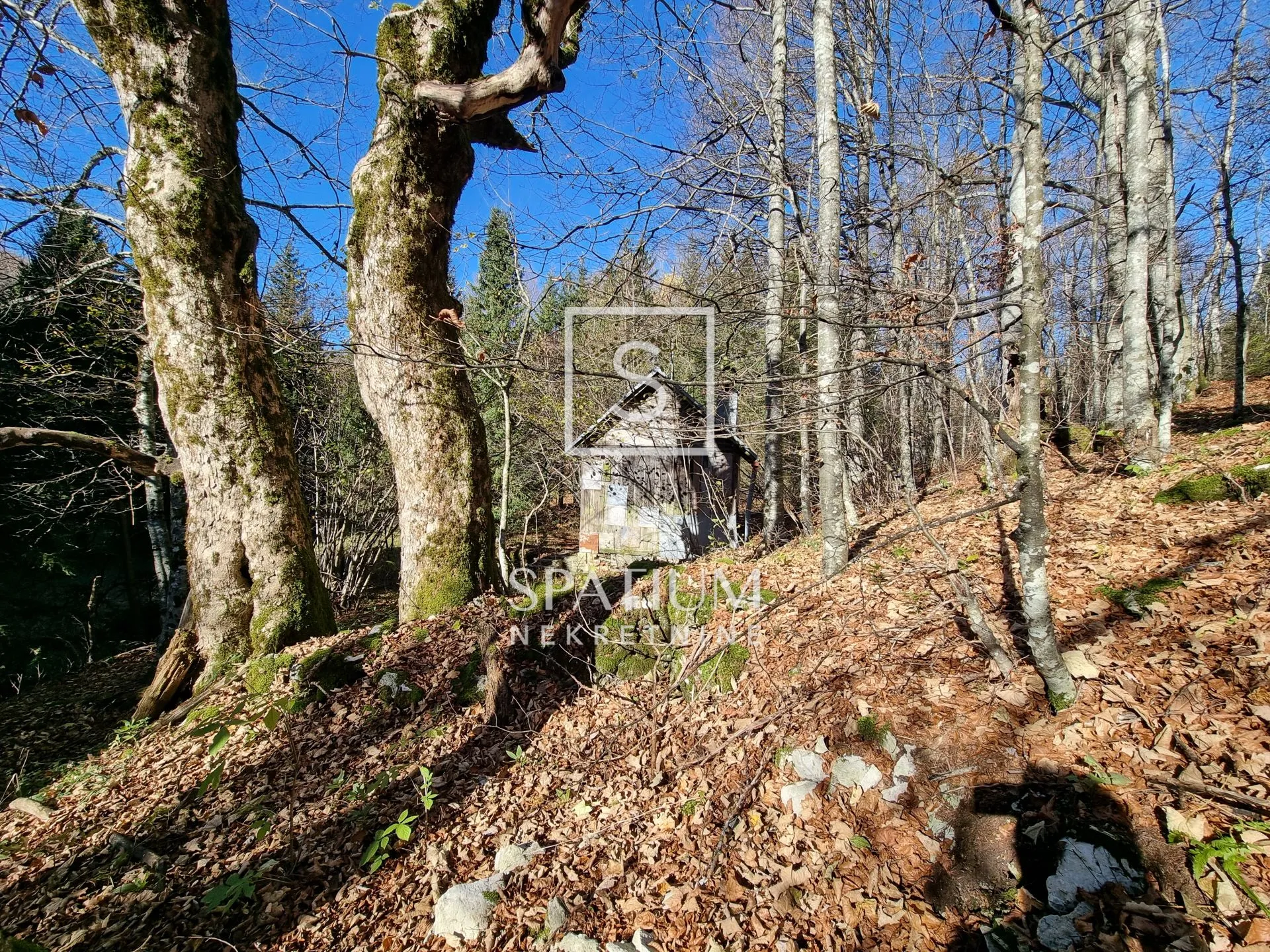 maševo, vinodolska općina, šumski teren 8094 m2 - slika 5
