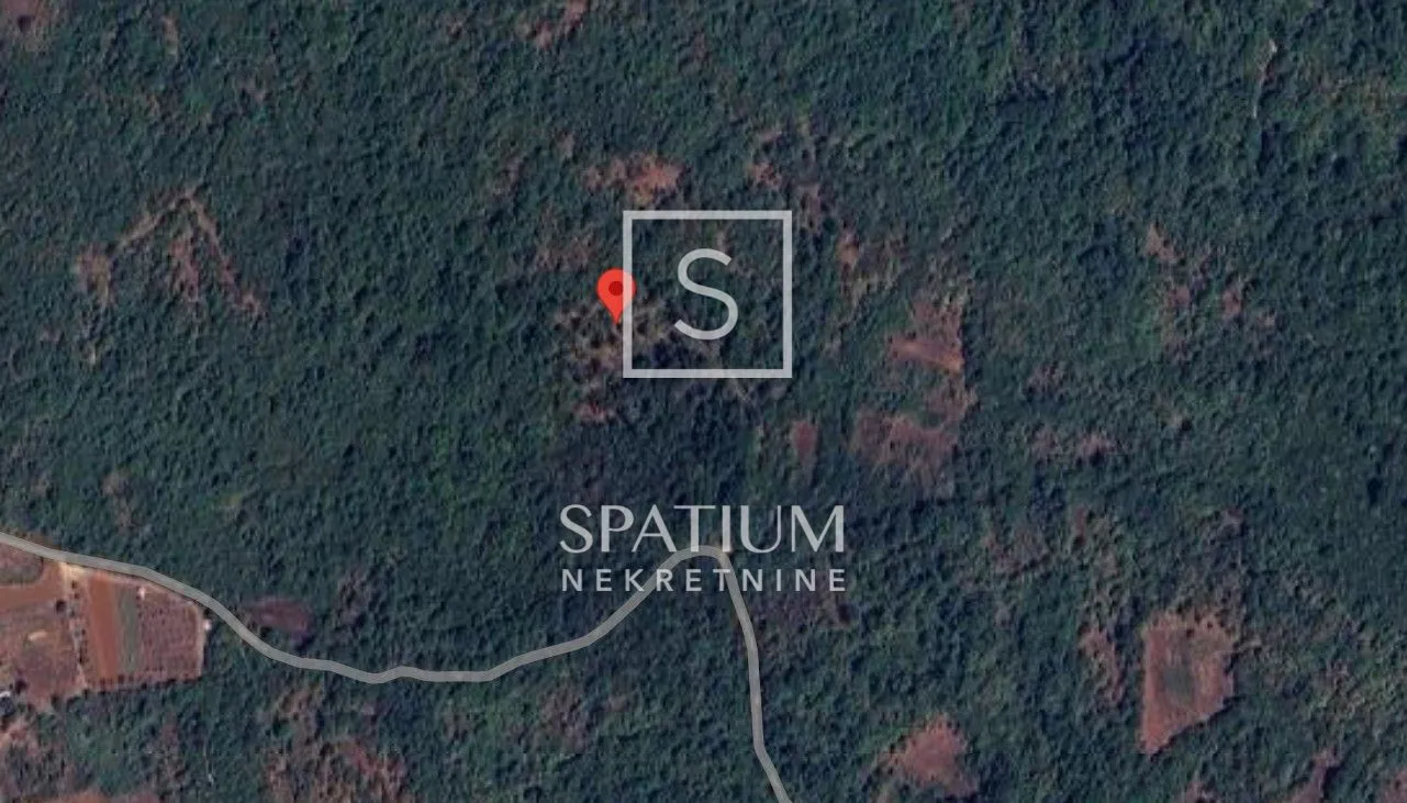 poreč, šuma površine 19.200 m² na mirnoj lokaciji - slika 2