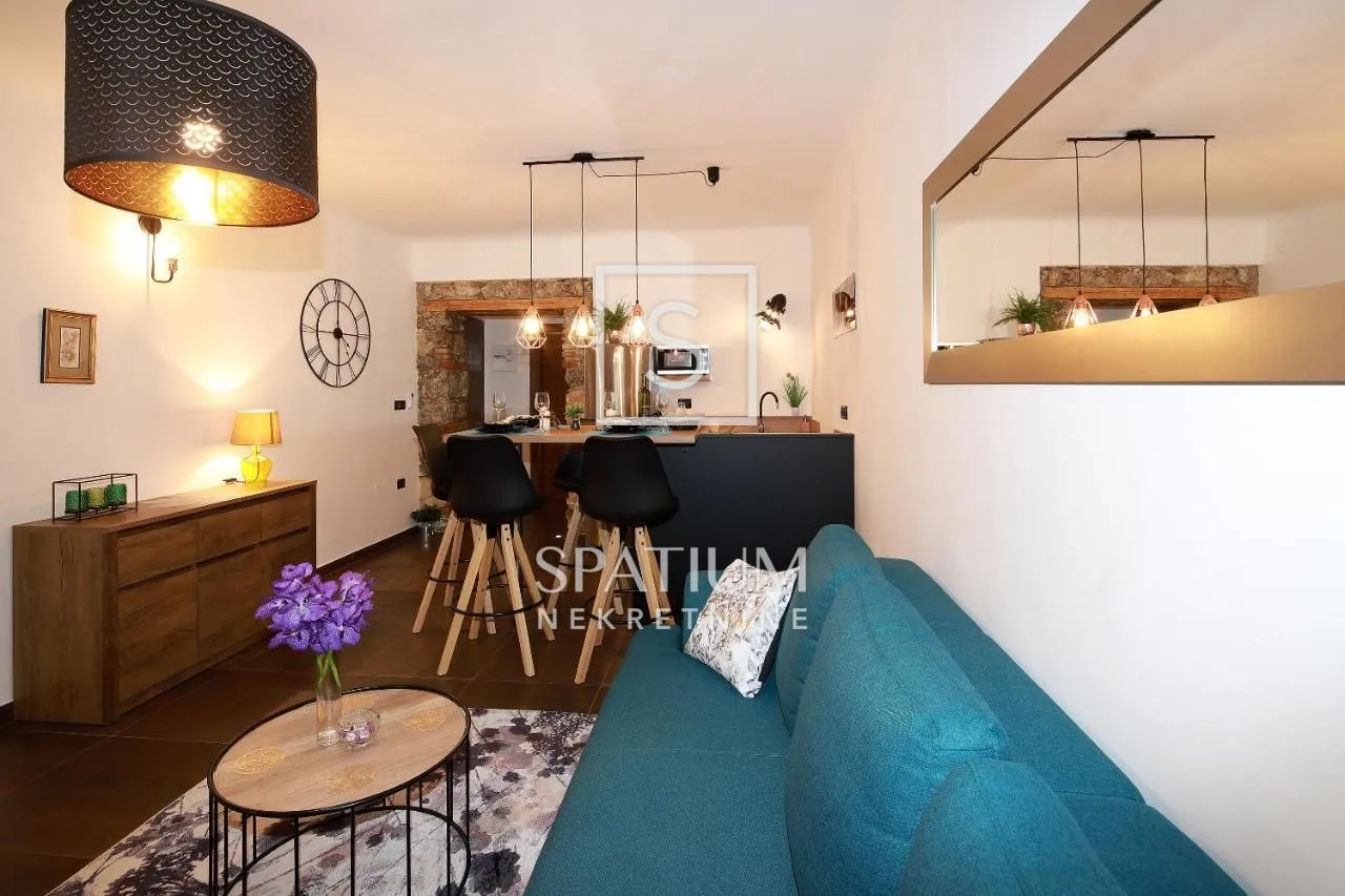 rijeka, centar, prodaja uhodanog poslovanja, 3 apartmana - slika 26