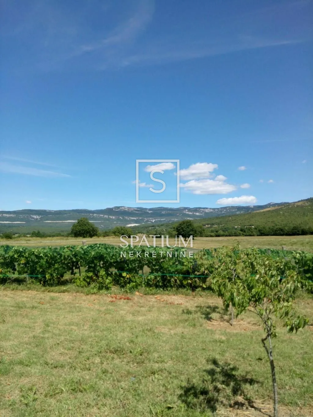 istra, boljunsko polje, samostojeća kuća - slika 4