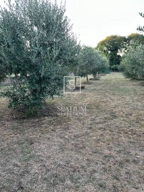 malinska, kuća s voćnjakom i pogledom na more - slika 5