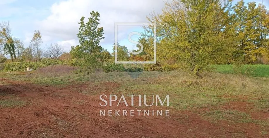 ŽMINJ, GRAĐEVINSKO ZEMLJIŠTE 2371m2 - Laginji, Žminj