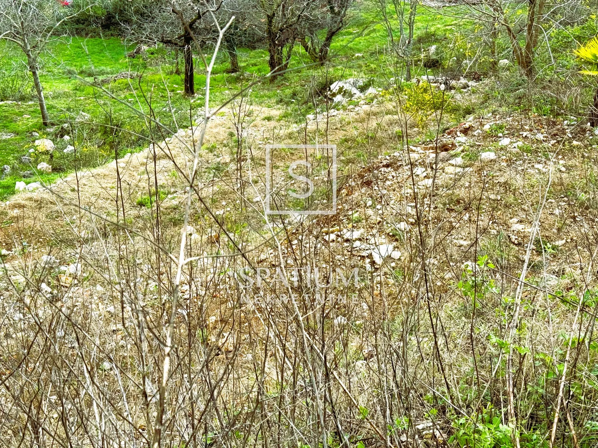 mihotići, zemljište s idejnim planom za 7 villa s bazenom - slika 3