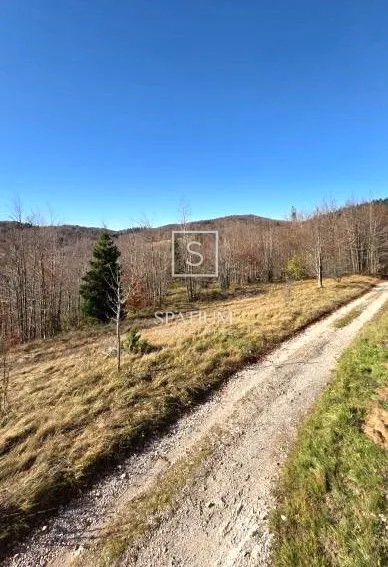 stari laz, odličan građevinski teren - slika 3