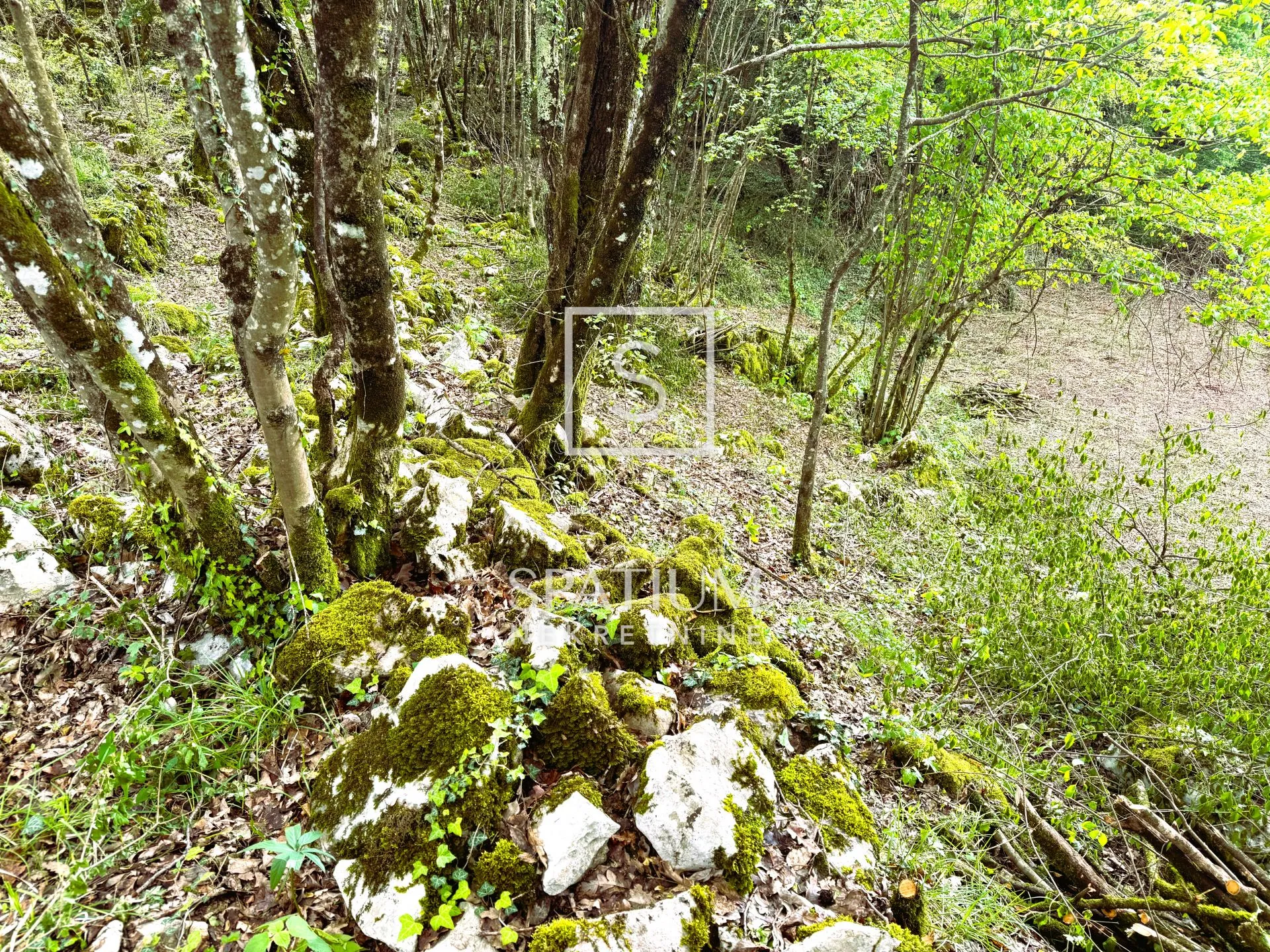 brgud, građevinsko zemljište na dobroj lokaciji - slika 3