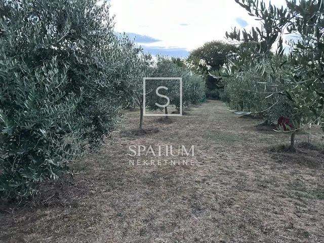 malinska, kuća s voćnjakom i pogledom na more - slika 3
