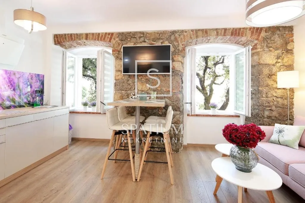 rijeka, centar, prodaja uhodanog poslovanja, 3 apartmana - slika 32