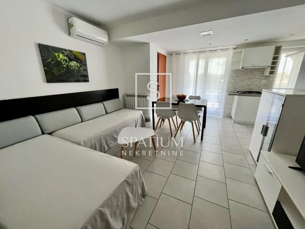 labin, kuća s bazenom, konobom i garažom - slika 22