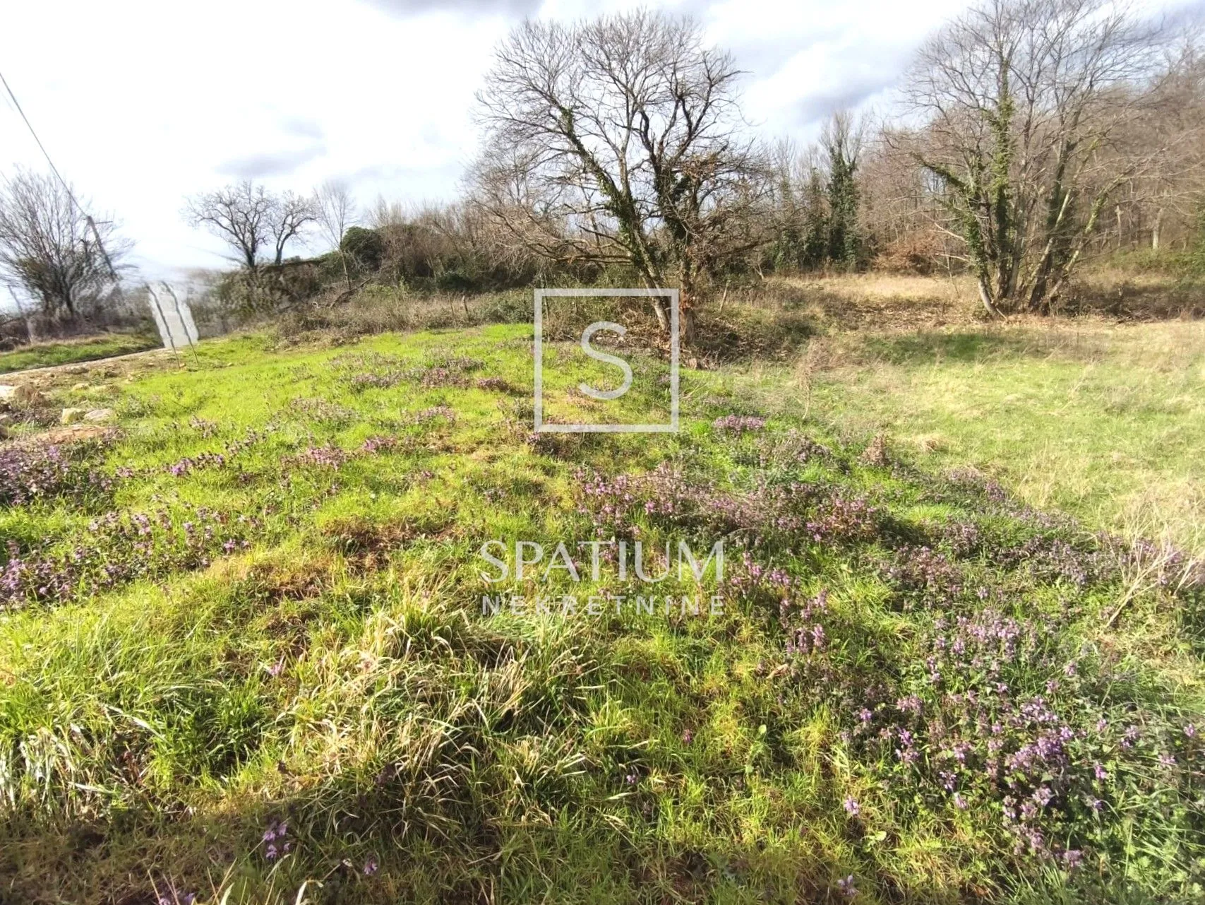 motovun, građevinsko zemljište 612 m² - slika 3