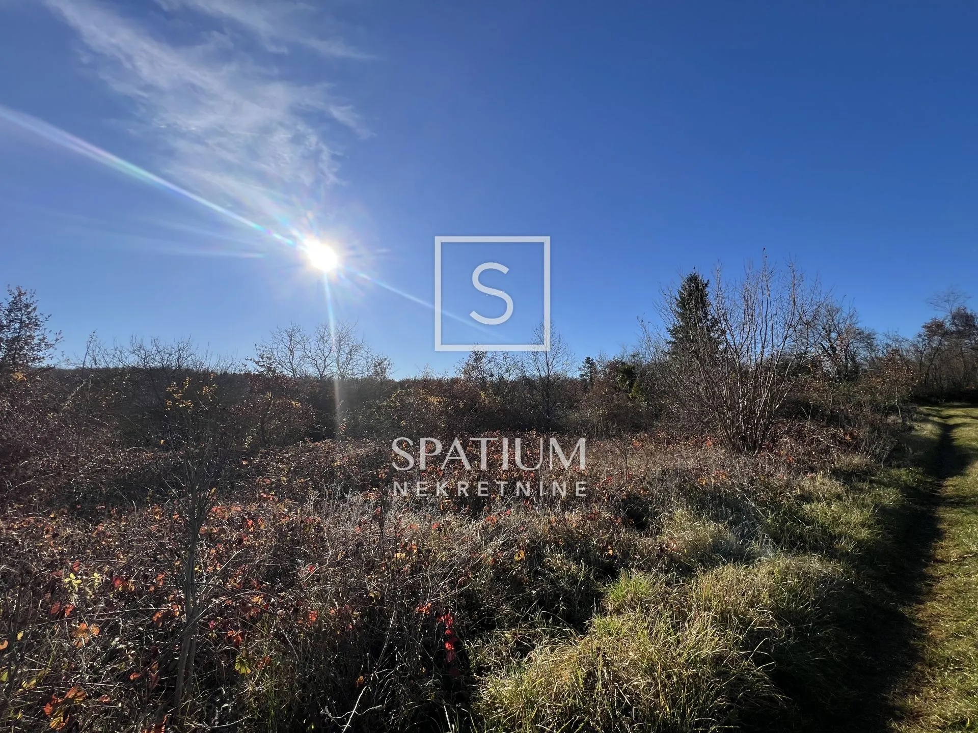 vižinada, građevinsko zemljište 3500 m2 - slika 2
