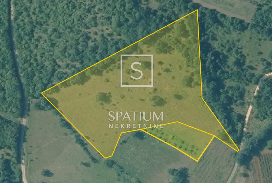 motovun, poljoprivredno zemljište 14.490 m2 - slika 5