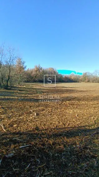 brtonigla, poljoprivredno zemljište pogodono za sadnju maslina - slika 3