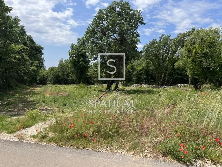 istra, sveti lovreč, građevinsko zemljište - slika 4
