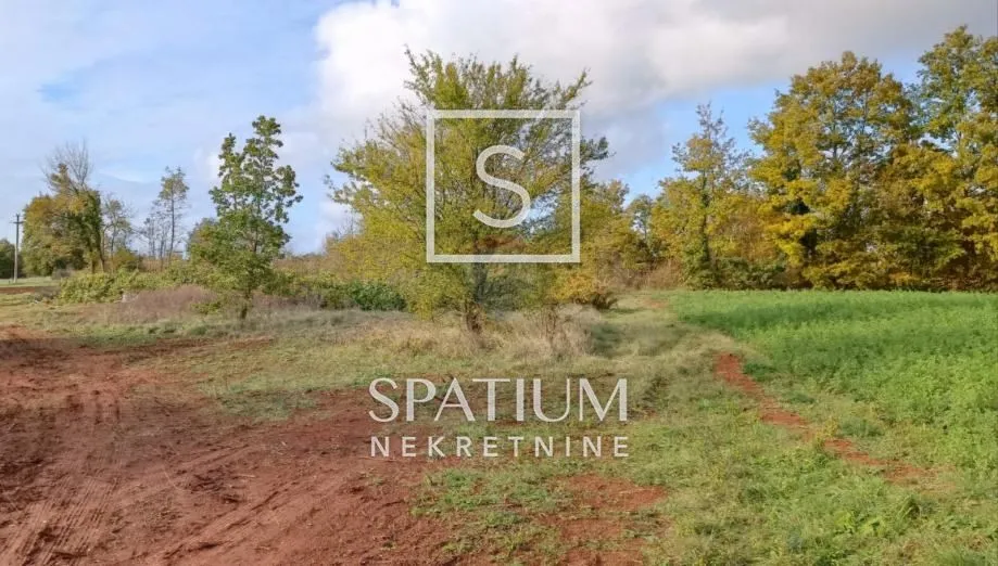 žminj, građevinsko zemljište 2371m2 - slika 2