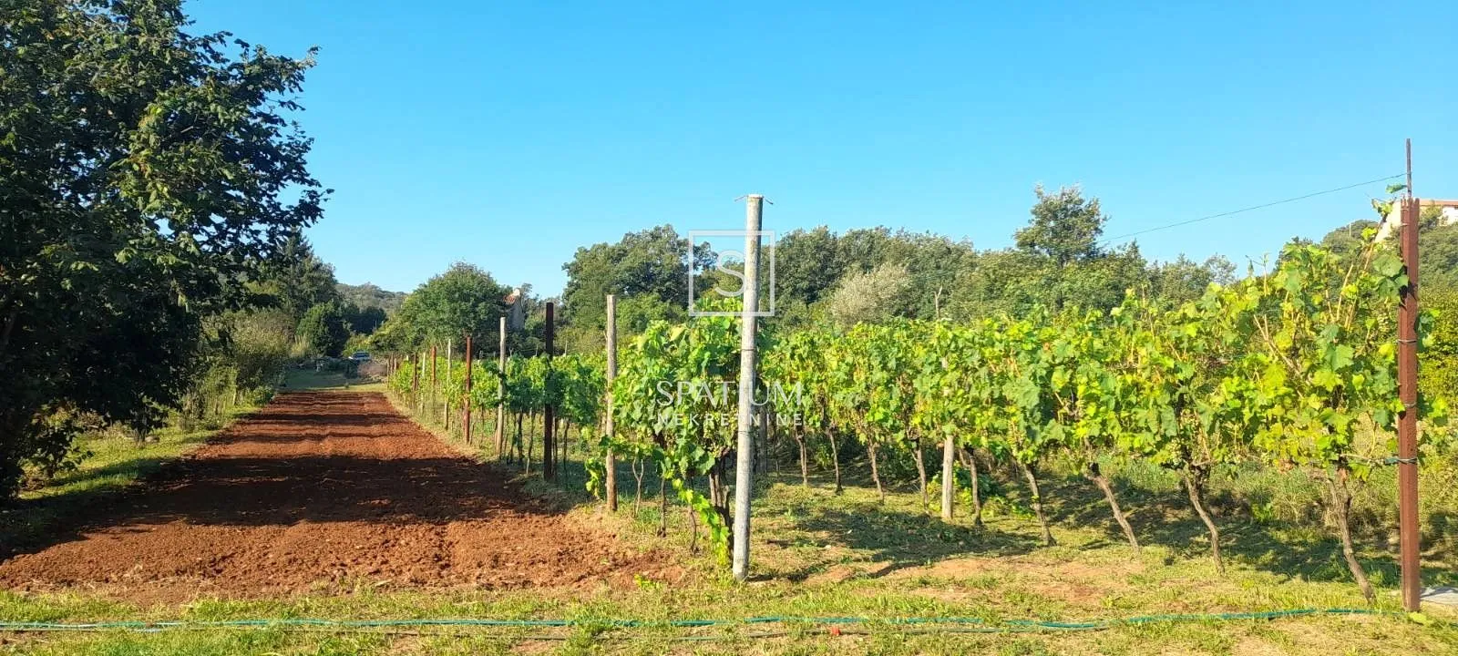 labin, poljoprivredno zemljište 27800m2 sa starinom - slika 6