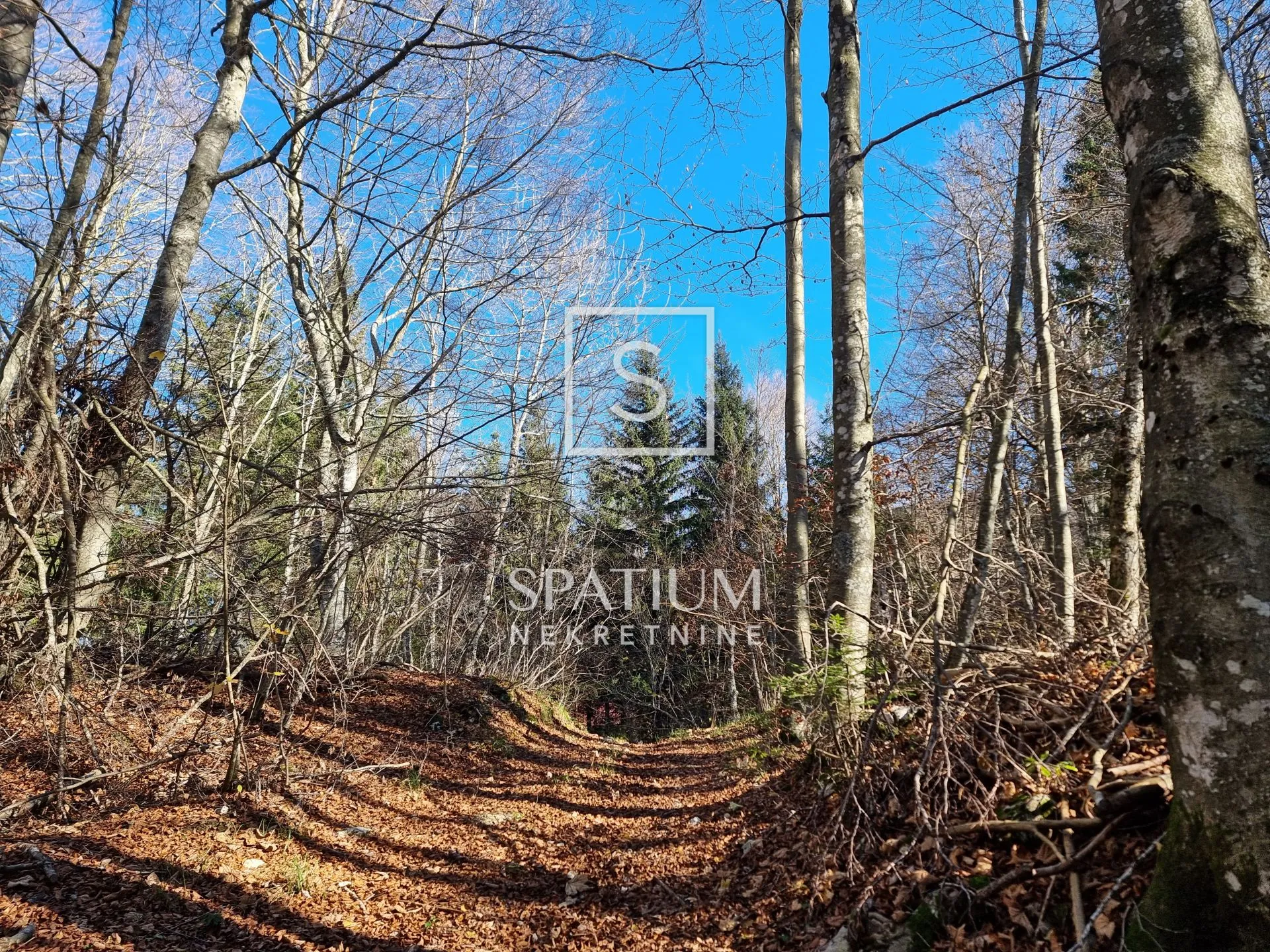 maševo, vinodolska općina, šumski teren 8094 m2 - slika 3