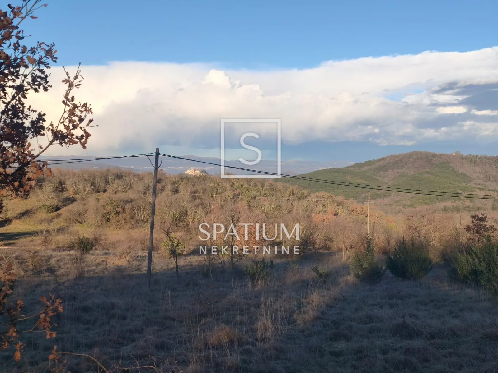 motovun, poljoprivredno zemljište 14.490 m2 - slika 2