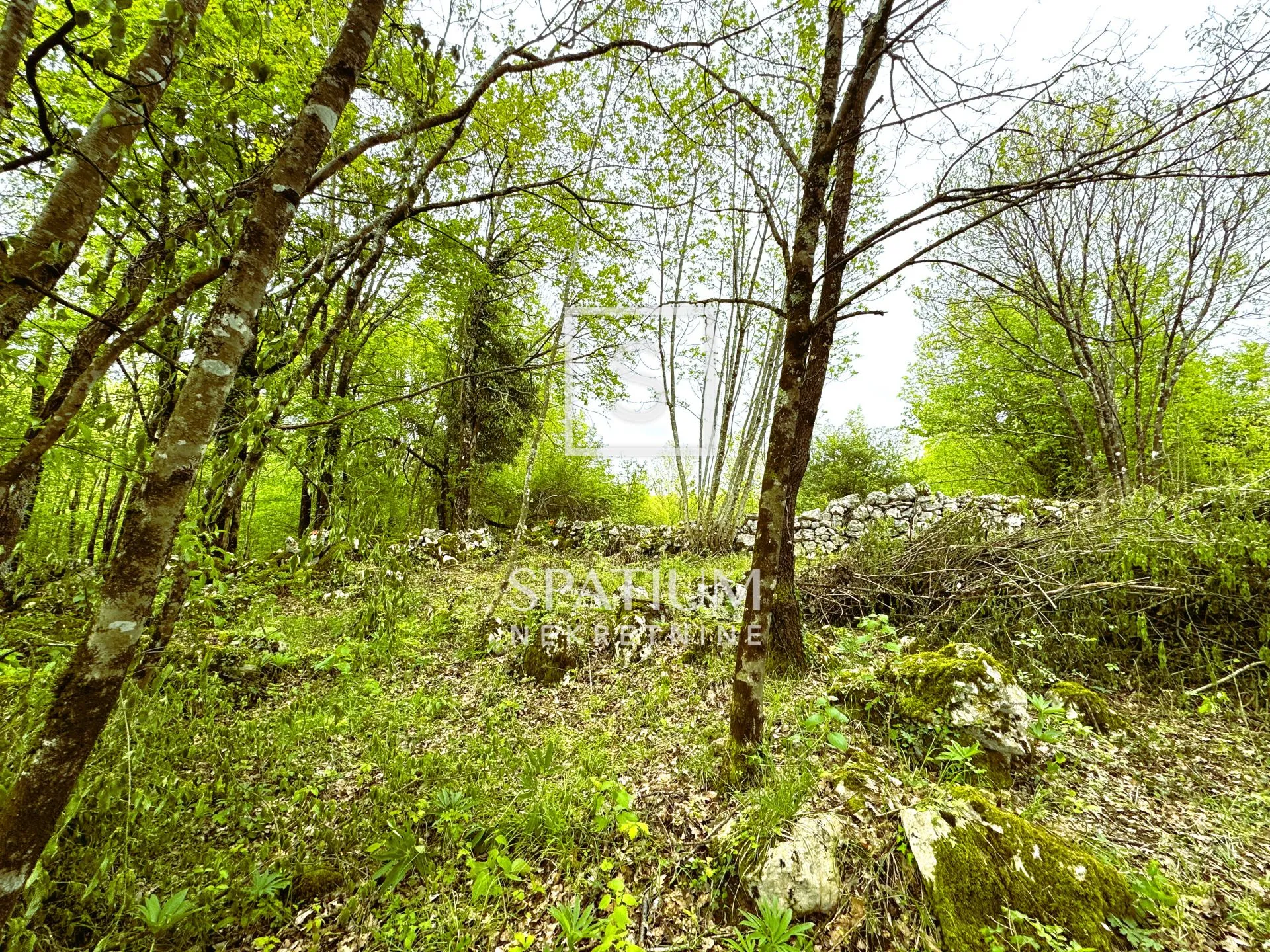 brgud, građevinsko zemljište na dobroj lokaciji - slika 4