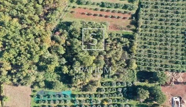 poreč, građevinsko zemljište 1446 m2 - slika 2