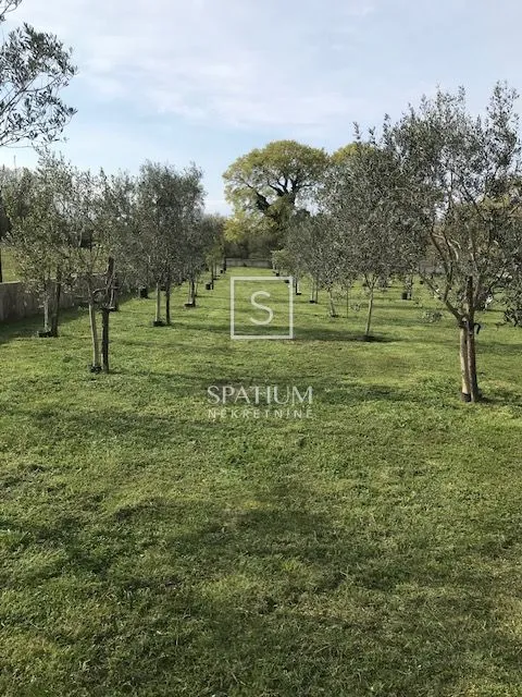 Malinska, Kuća S Voćnjakom I Pogledom Na More - Malinska, Malinska-Dubašnica