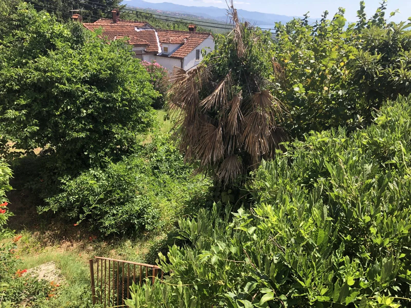 pobri, starina na parceli od 700m2 pogled na more - slika 13