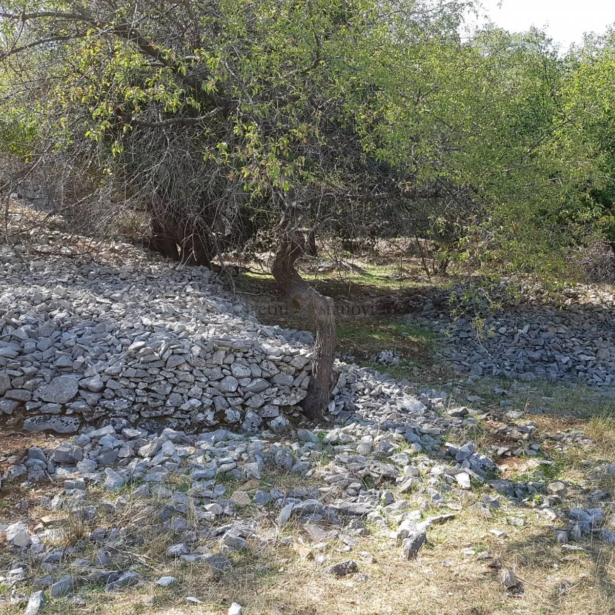 četiri građevinska zemljišta veličine 585,75 m² na otoku braču – nerežišća - slika 5