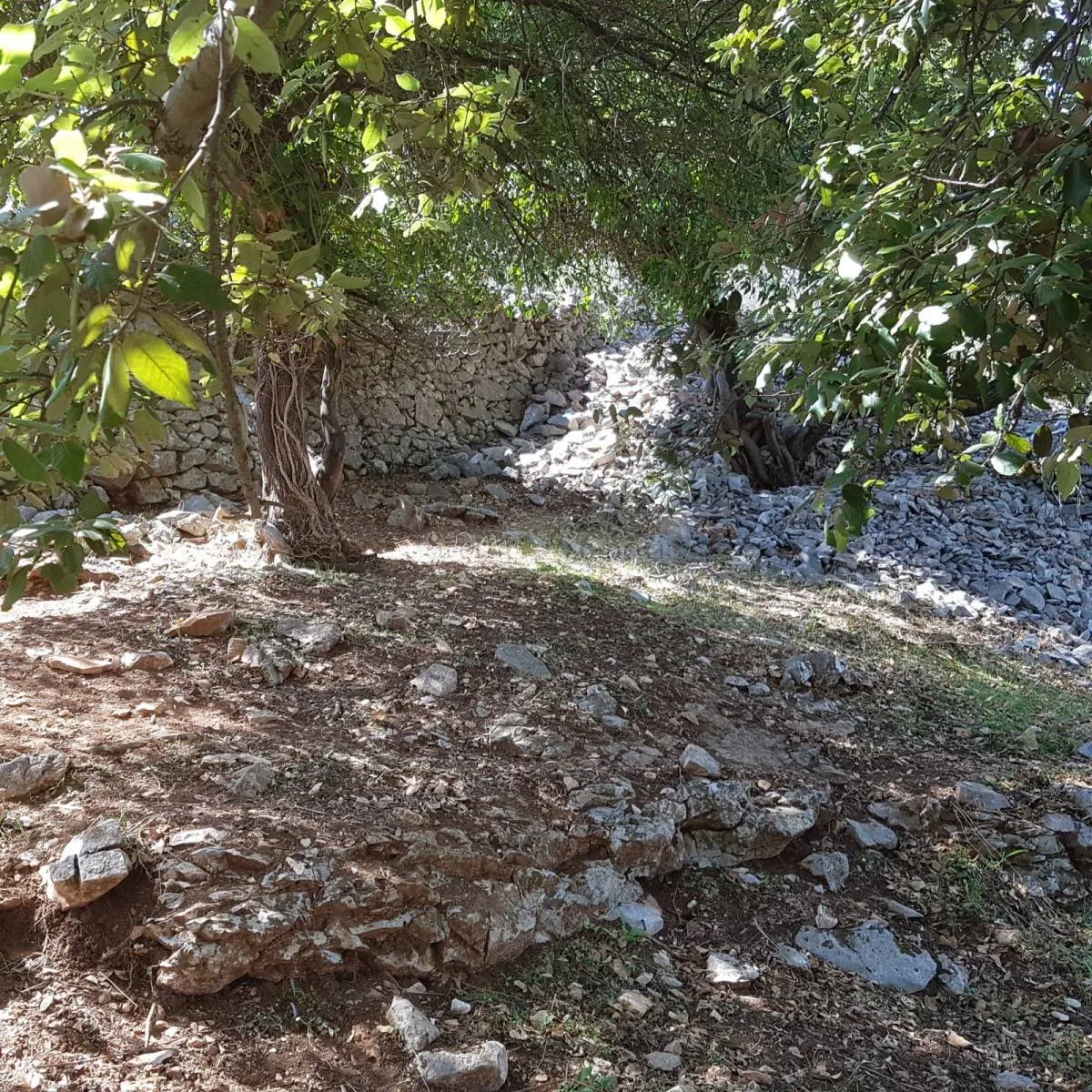 dva građevinska zemljišta veličine 1.171,5 m² na otoku braču – nerežišća - slika 5