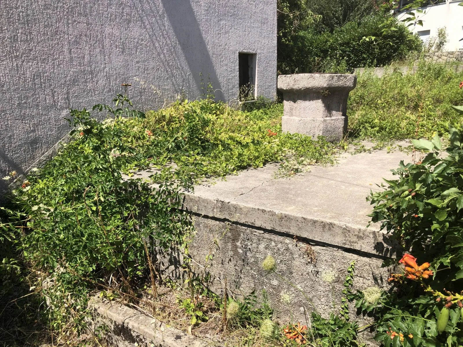 pobri, starina na parceli od 700m2 pogled na more - slika 12