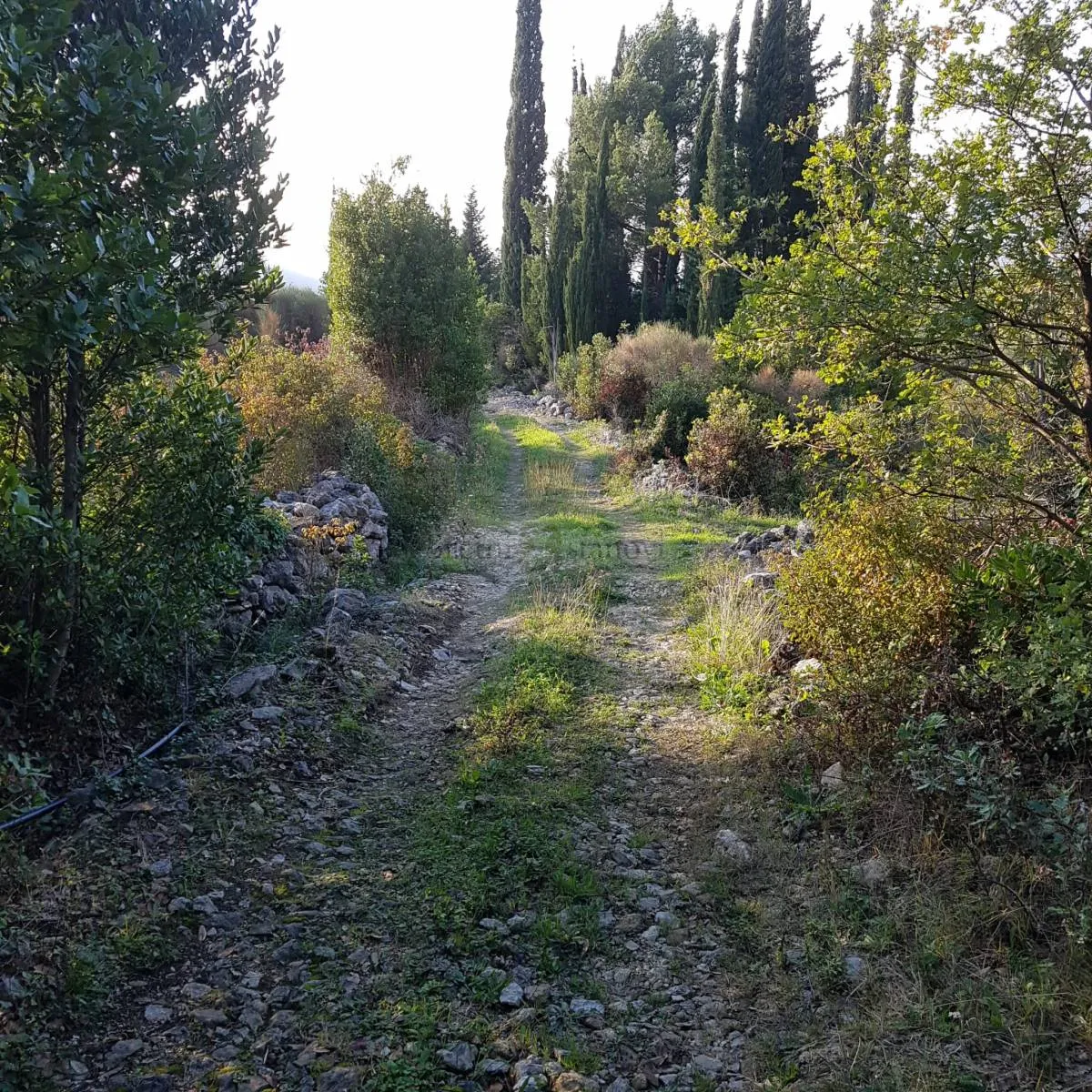konavle- poljoprivredno zemljište s mogućnošću gradnje- 50.000 m² - slika 4