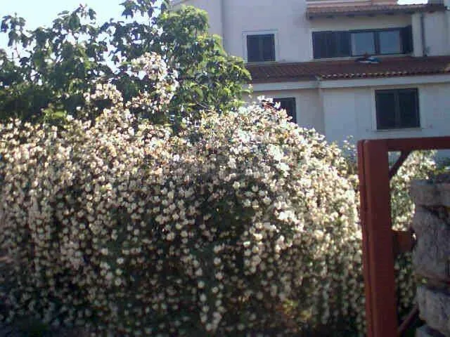kuća na martinkovcu s predivnim pogledom - slika 15