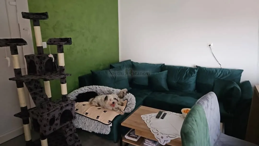 apartman , novalja , 51 m2, 1s+db , pogled na more - slika 7