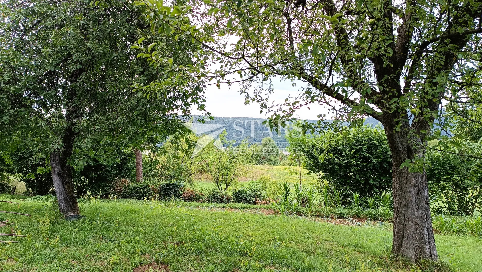 ogulin -prizemnica 97 m² s voćnjakom i pomoćnim objektima, 1.871 m² parcela - slika 26