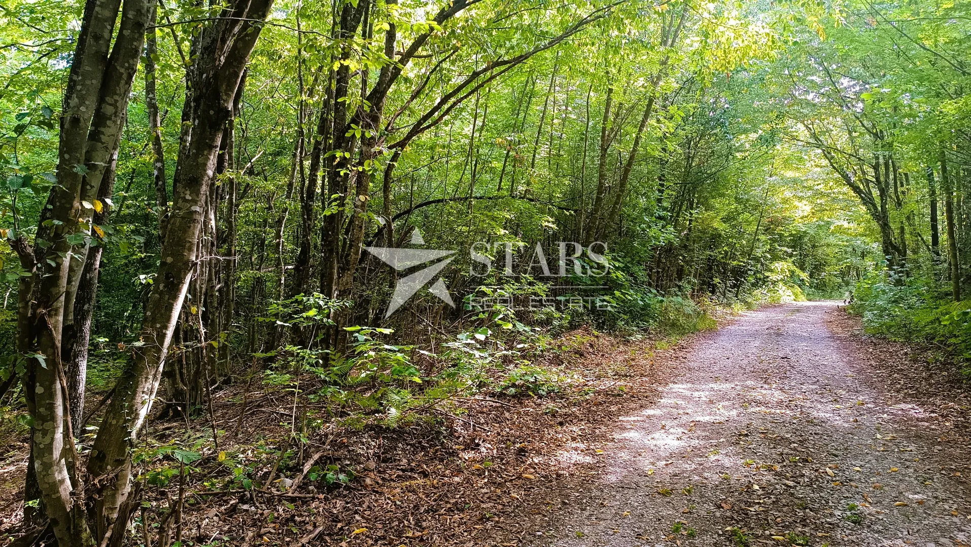 popovo selo - poljoprivredno zemljište – 53.418 m² (šuma, oranice, pašnjaci, livade) - slika 23
