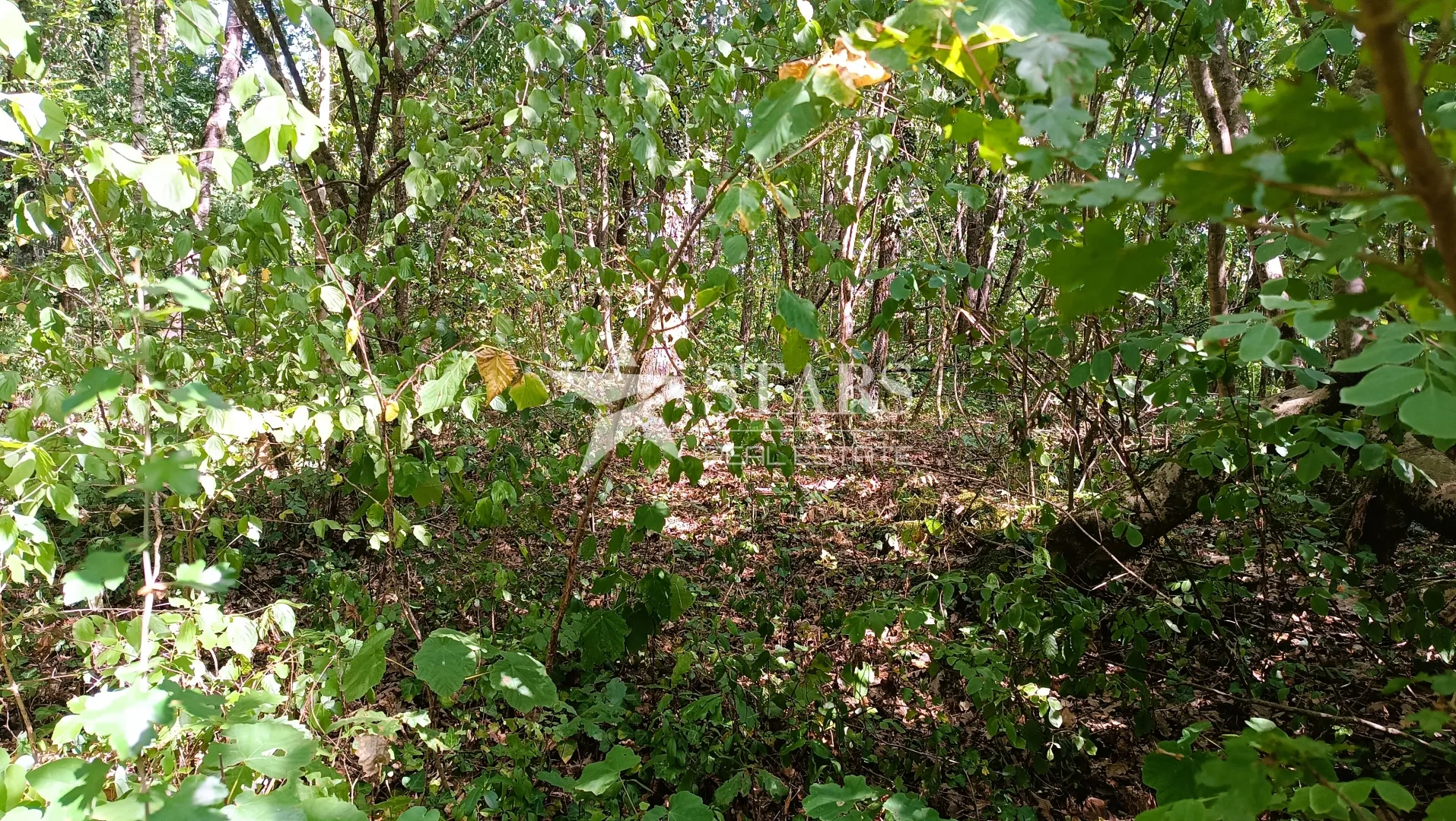popovo selo - poljoprivredno zemljište – 53.418 m² (šuma, oranice, pašnjaci, livade) - slika 15