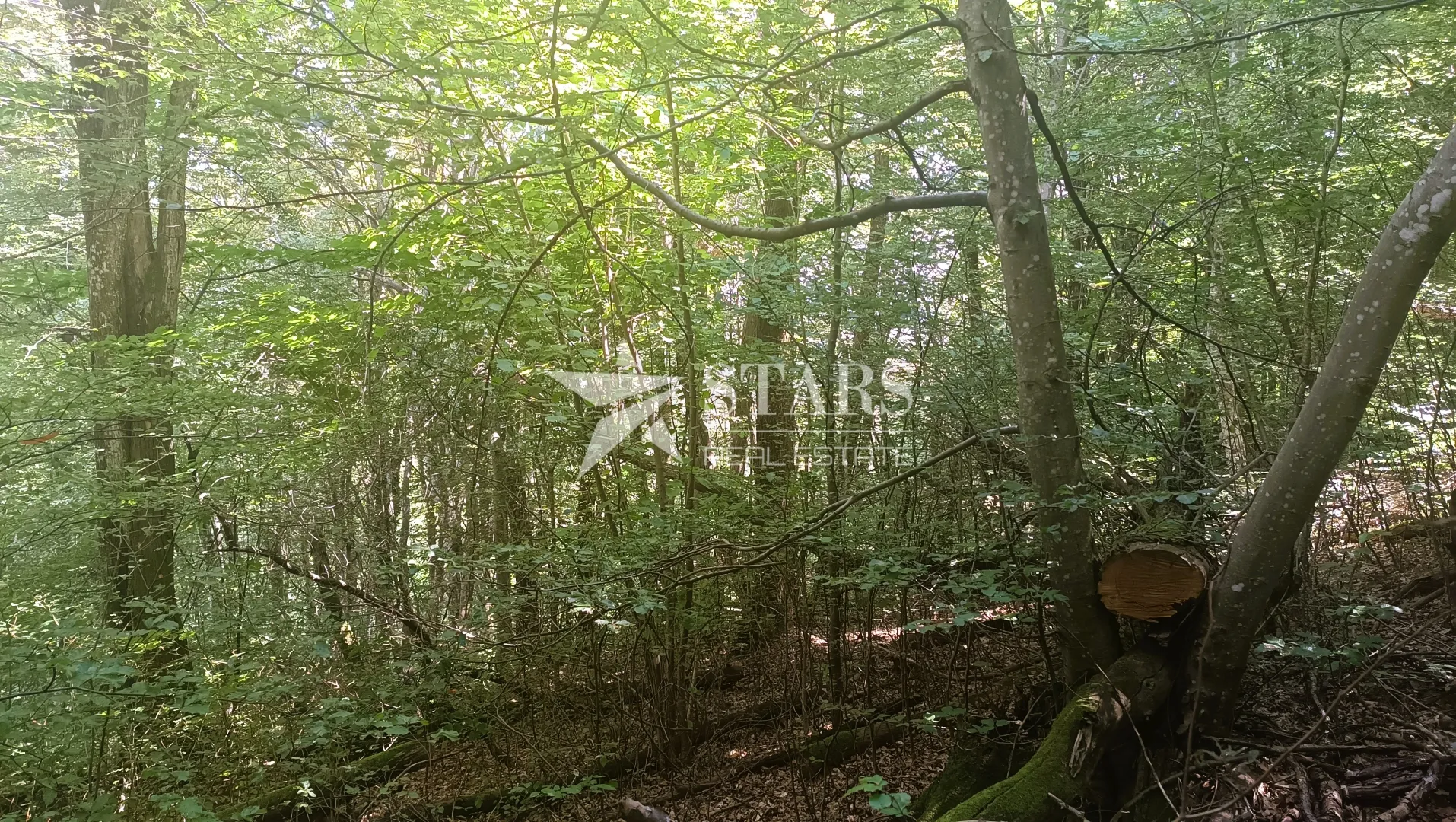slunj - veliko zemljište s potencijalom – mirna lokacija u blizini slunja - slika 12