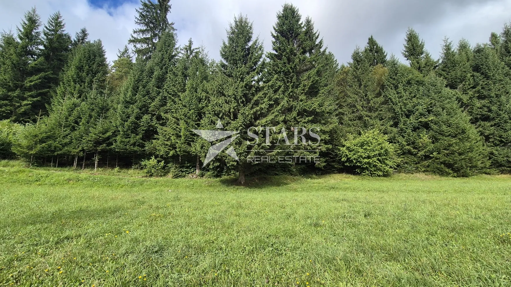 gorski kotar, tršće - građevinski teren 1000 m2 sa glavnim projektom - slika 2