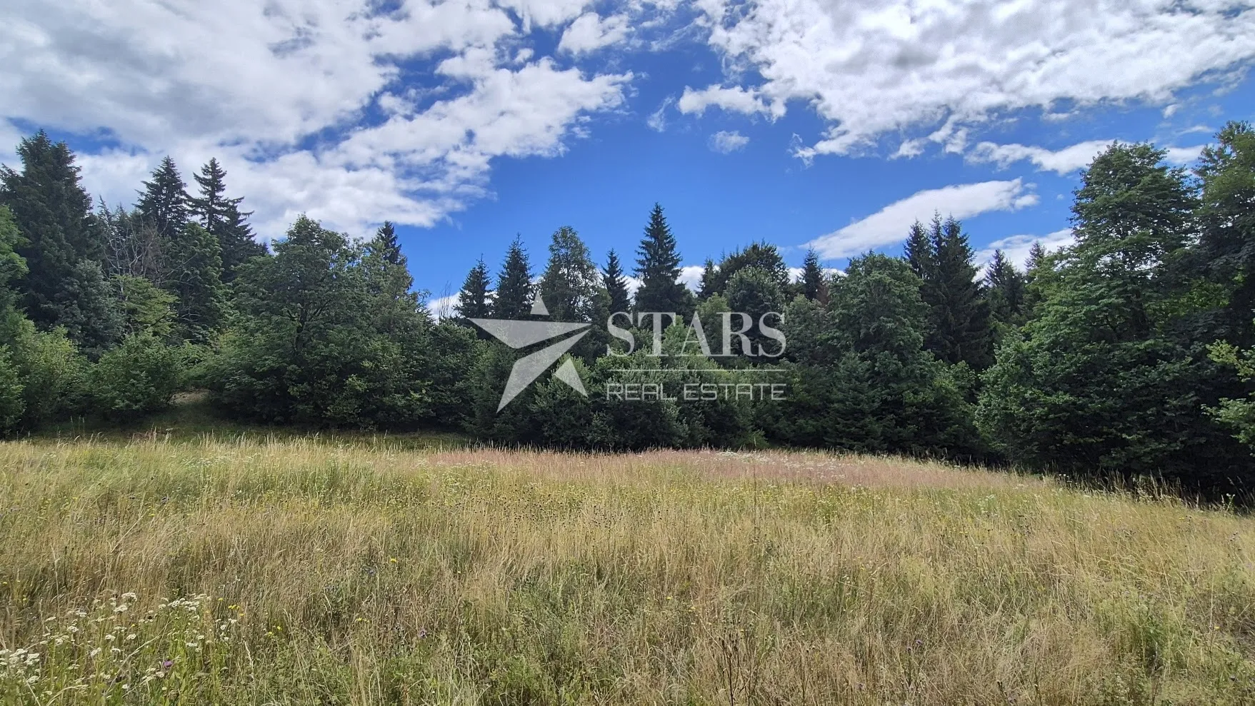 gorski kotar, delnice - građevinski teren 2436 m2 - slika 4