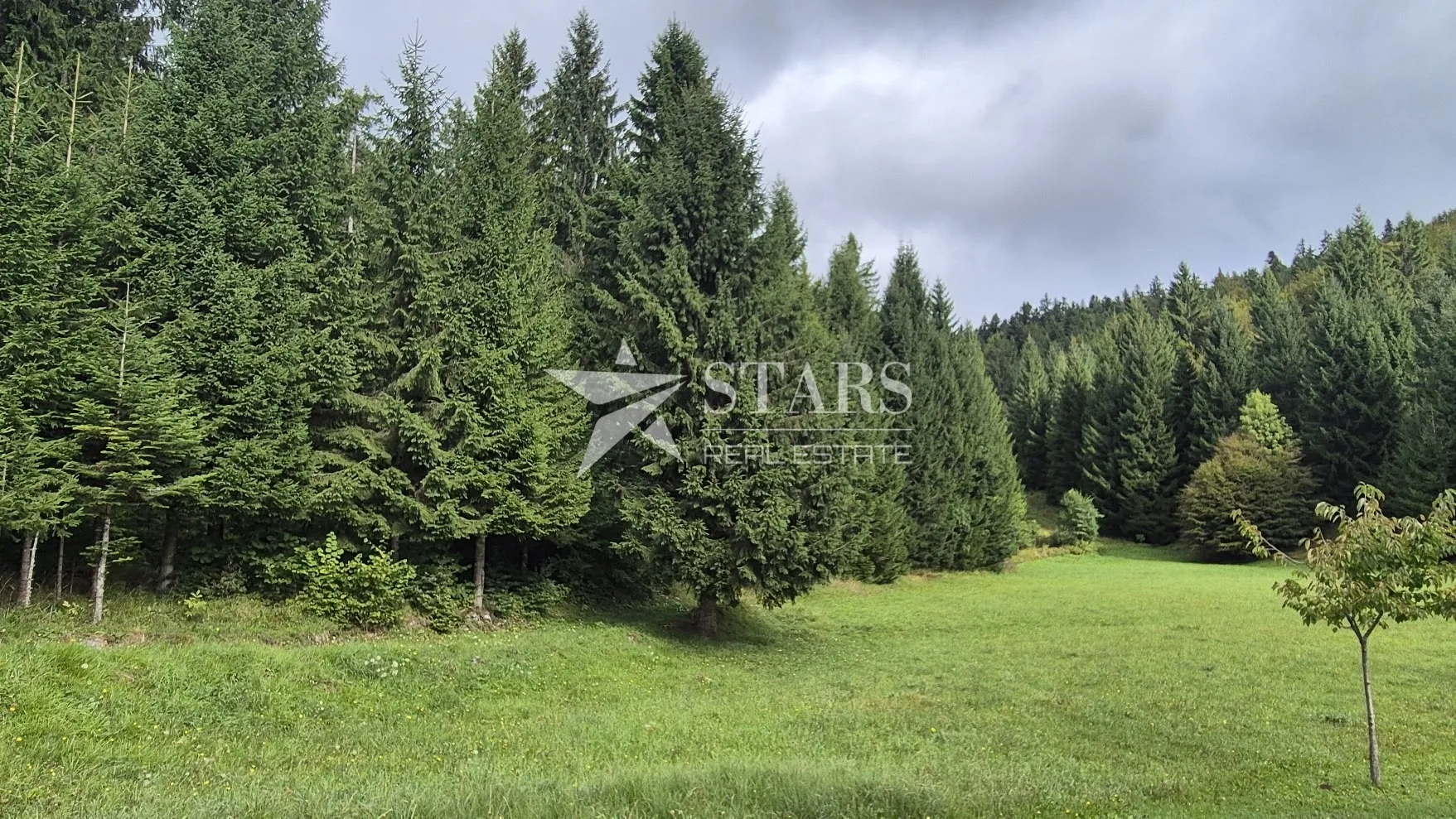 gorski kotar, tršće - građevinski teren 1000 m2 sa glavnim projektom - slika 4