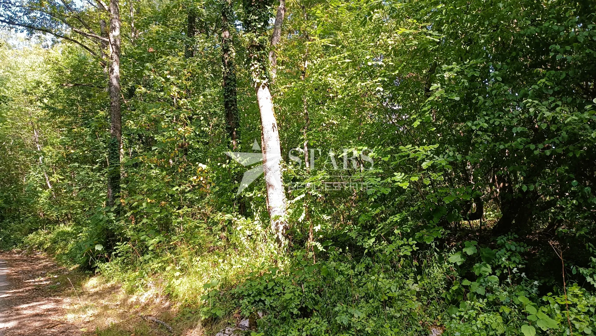popovo selo - poljoprivredno zemljište – 53.418 m² (šuma, oranice, pašnjaci, livade) - slika 18