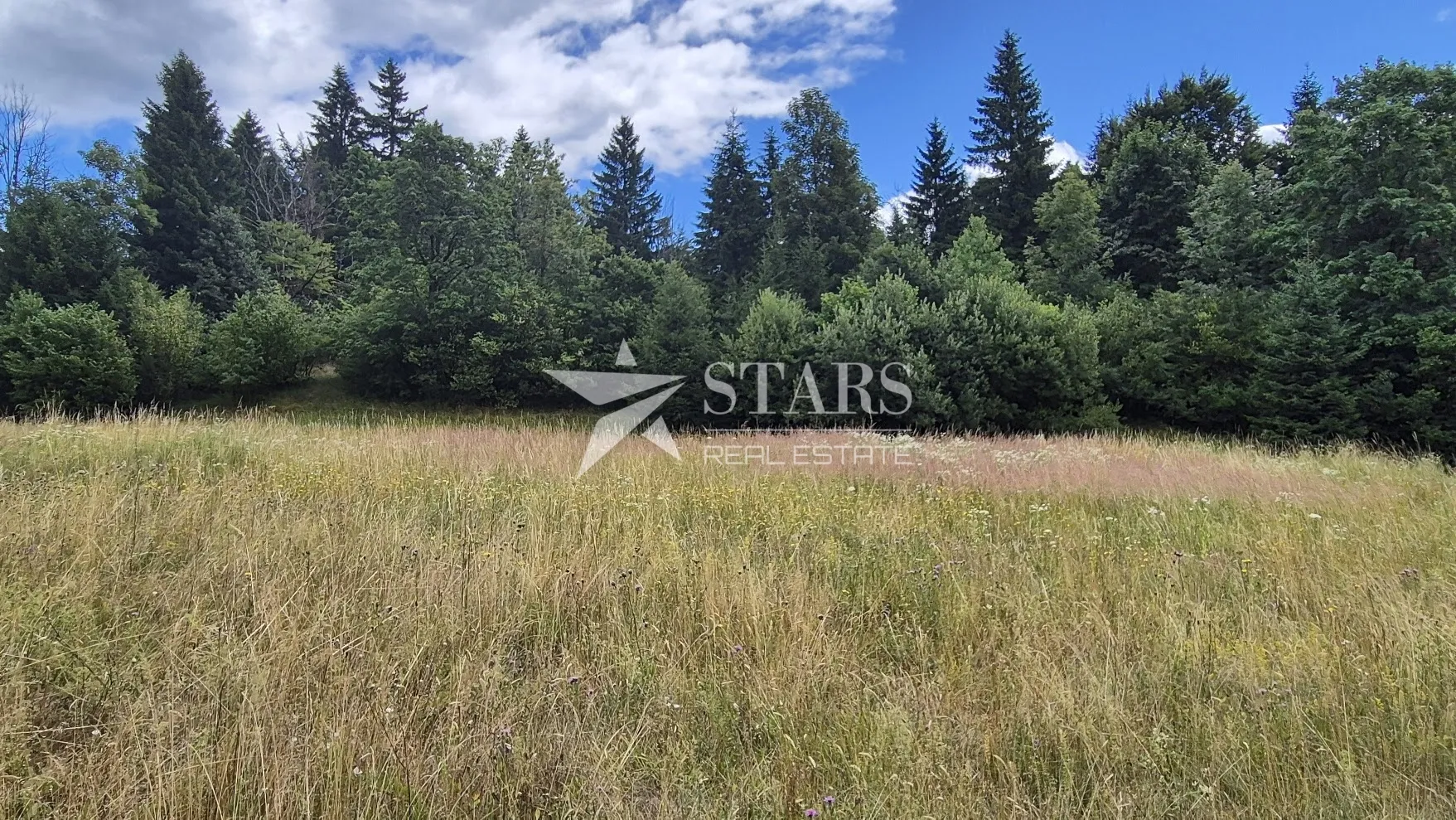 gorski kotar, delnice - građevinski teren 2436 m2 - slika 5