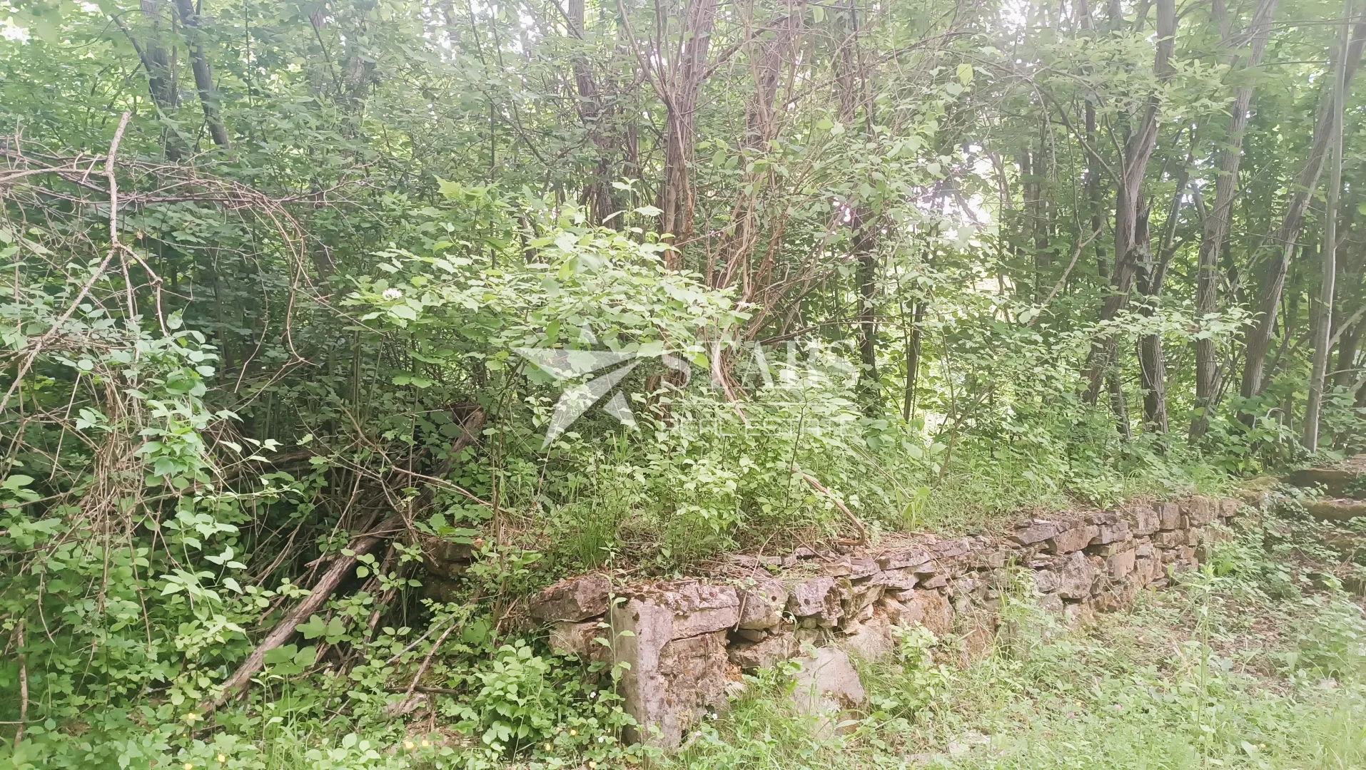 tounj - zemljište , građevinski dio, priroda i potencijal na jednom mjestu! - slika 2