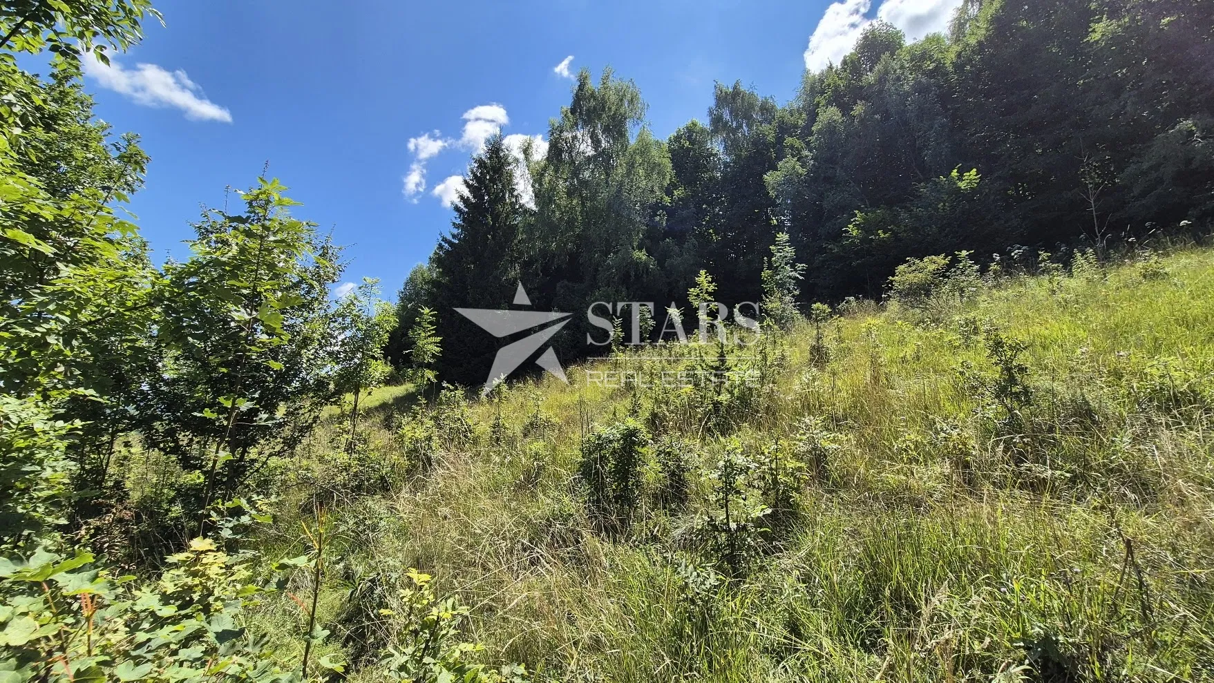 gorski kotar, skrad - građevinski teren na osami - slika 5
