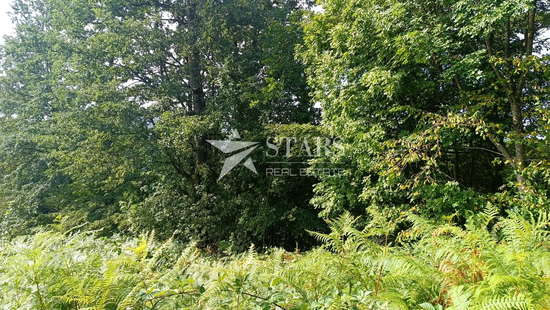 popovo selo - poljoprivredno zemljište – 53.418 m² (šuma, oranice, pašnjaci, livade) - slika 3